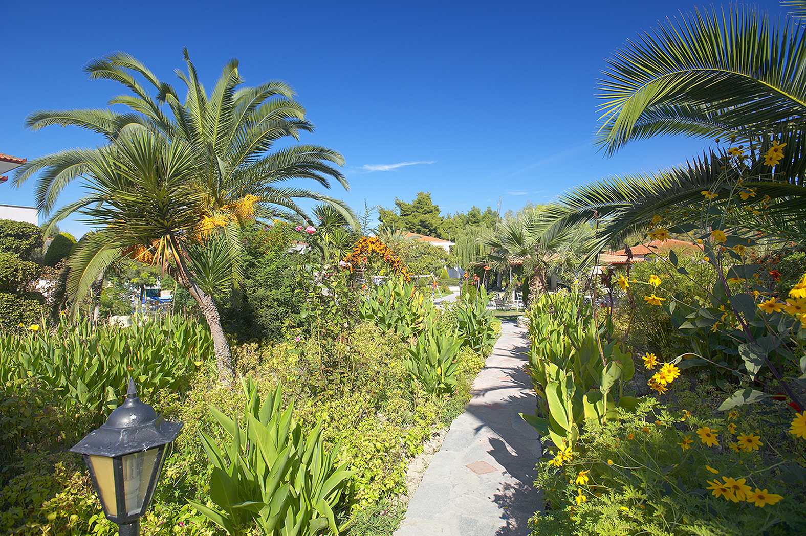 Chrousso Village - All Inclusive